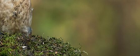 Samenstelling College van B&W