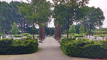 Overzichtsfoto begraafplaats Terschuur