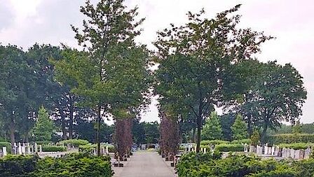 Begraafplaats Terschuur