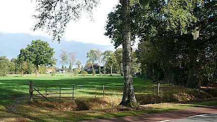 Met bomen omzoomde weiland langs een weg. Op de achtergrond huizen. 