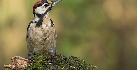 Een persoon tekent een formulier. Op de achtergrond staan verhuisdozen en een plant.