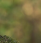 Wethouder Wim Oosterwijk